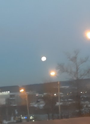 20220318_081942.jpg