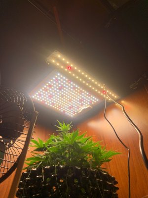 18820E07-9CBB-414F-9B35-C19089A9077B.jpeg