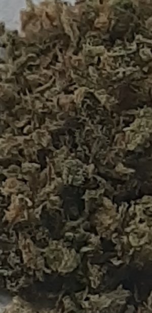 20220322_083514.jpg