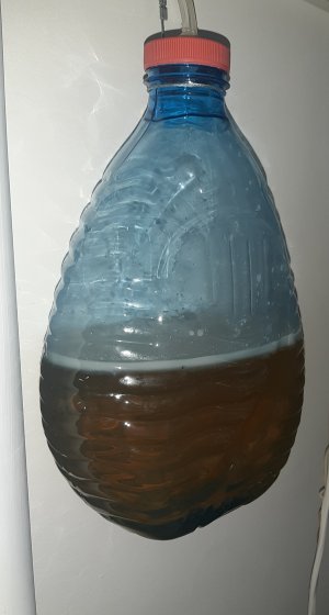 20220329_212414.jpg