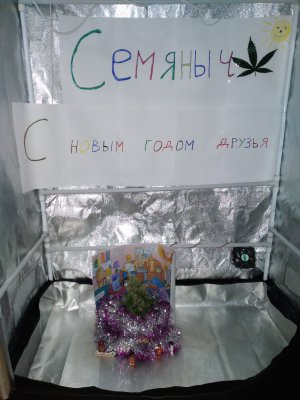 20241223_201724.jpg