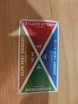 17367447028556982471864962108403.jpg