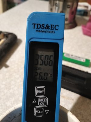 17376024743761691653054909373973.jpg
