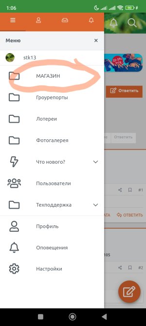 Screenshot_2025-03-18-01-06-28-826_ru.semena.sch-edit.jpg