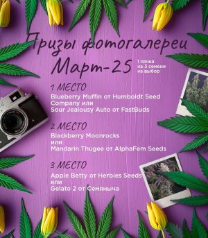 Призы-фотогалереи-Март.jpg