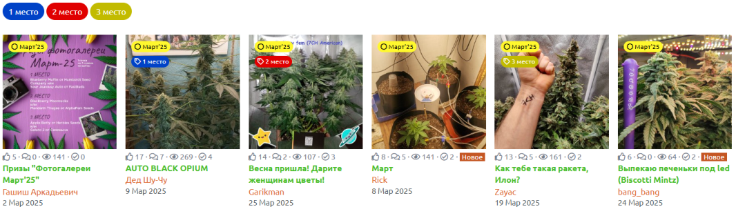 Снимок экрана 2025-04-01 113928.png