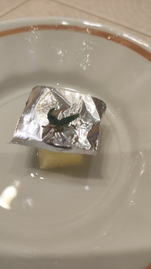 1000365394.jpg