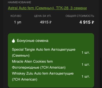 IMG_3390.jpeg