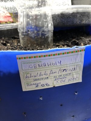 IMG_3462.jpeg