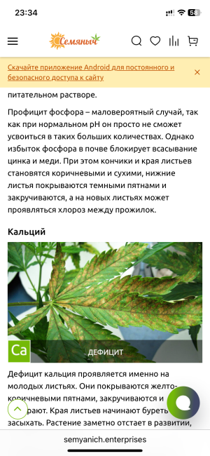 IMG_7848.png IMG_7848.png
