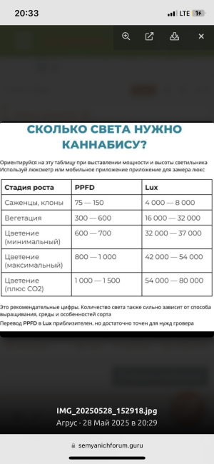 IMG_3395.png