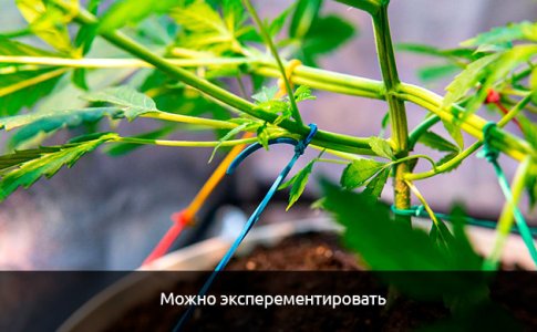 Mozhno-eksperementirovat__uW9TDedntU7Qv39A.jpg Mozhno-eksperementirovat__uW9TDedntU7Qv39A.jpg