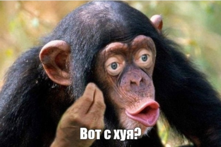 crop_4366231391824750707.png