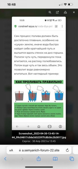 b7ab4845-8038-4e70-b474-23e38bb82e95.jpeg