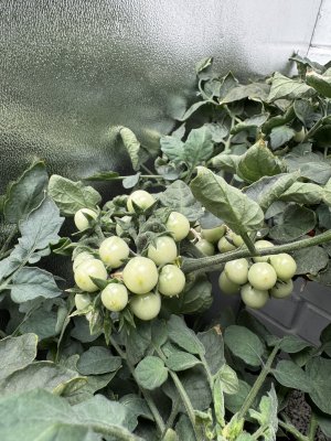 IMG_1073.jpeg