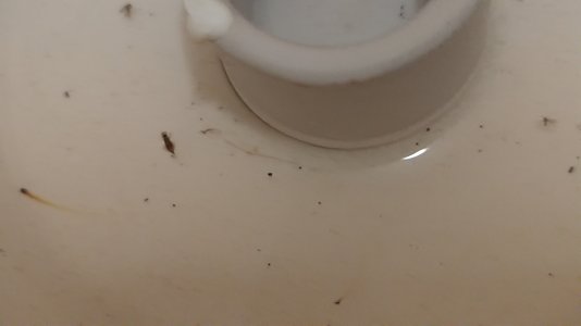 P_20250728_233107.jpg