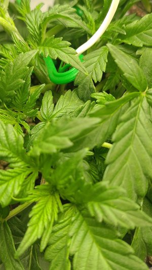 P_20250803_161207.jpg