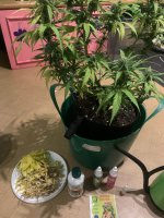 IMG_7949.jpeg
