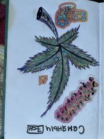 IMG_0153.jpeg