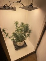 IMG_0190.jpeg