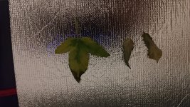 P_20250812_210505.jpg