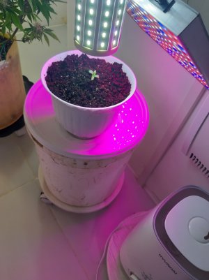 20220505_081344.jpg