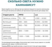 IMG_5378.jpeg