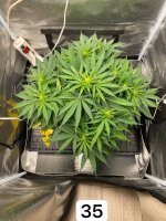 IMG_1103.jpeg