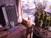 IMG_20250828_062732.jpg