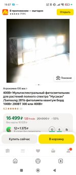 Screenshot_2025-09-01-19-07-38-965_com.yandex.searchapp.jpg