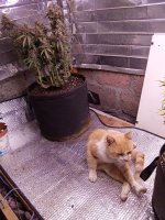 IMG_20250907_061811.jpg