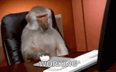 monkey-computer-not-working-xuq98ofh79bq3m89.gif