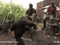 uBsfYAZ.gif