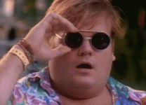 giphy7936.gif