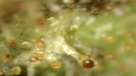 20250910-204706-435.jpg