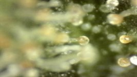 20250910-205206-786.jpg
