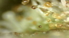 20250910-204735-178.jpg