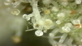 20250910-205045-041.jpg