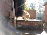 IMG_20250913_095237.jpg