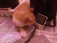 IMG_20250913_094853.jpg