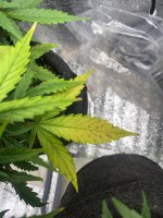 IMG_6840.jpeg