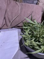 IMG_0569.jpeg