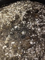 IMG_1407.jpeg