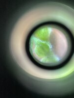 IMG_0677.jpeg