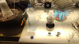 P_20251002_183449.jpg