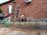 IMG_20251003_093351.jpg