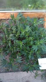 IMG_20251003_084359.jpg
