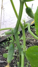 IMG_20251003_084304.jpg