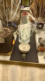 P_20251004_181053.jpg