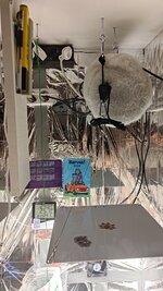 P_20251004_181046.jpg